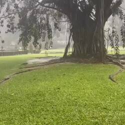 Lara and I have fun running through the rain