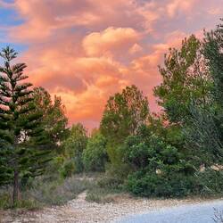 Sonnenaufgang in Bétera, NW von Valencia