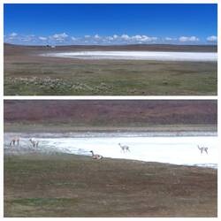 Salt flat on Tierra del Fuego