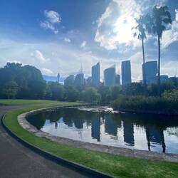 Blick vom Botanischen Garten auf die Skyline von Sydney