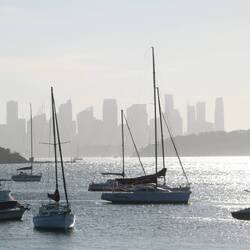 Blick von Watsons Bay zum CBD