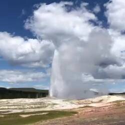Old Faithful