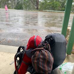 What a great day to hitchhike 🤣