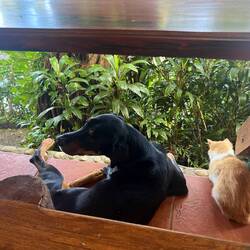 Balu und seine Crew😃