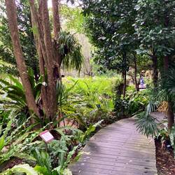 Botanical garden