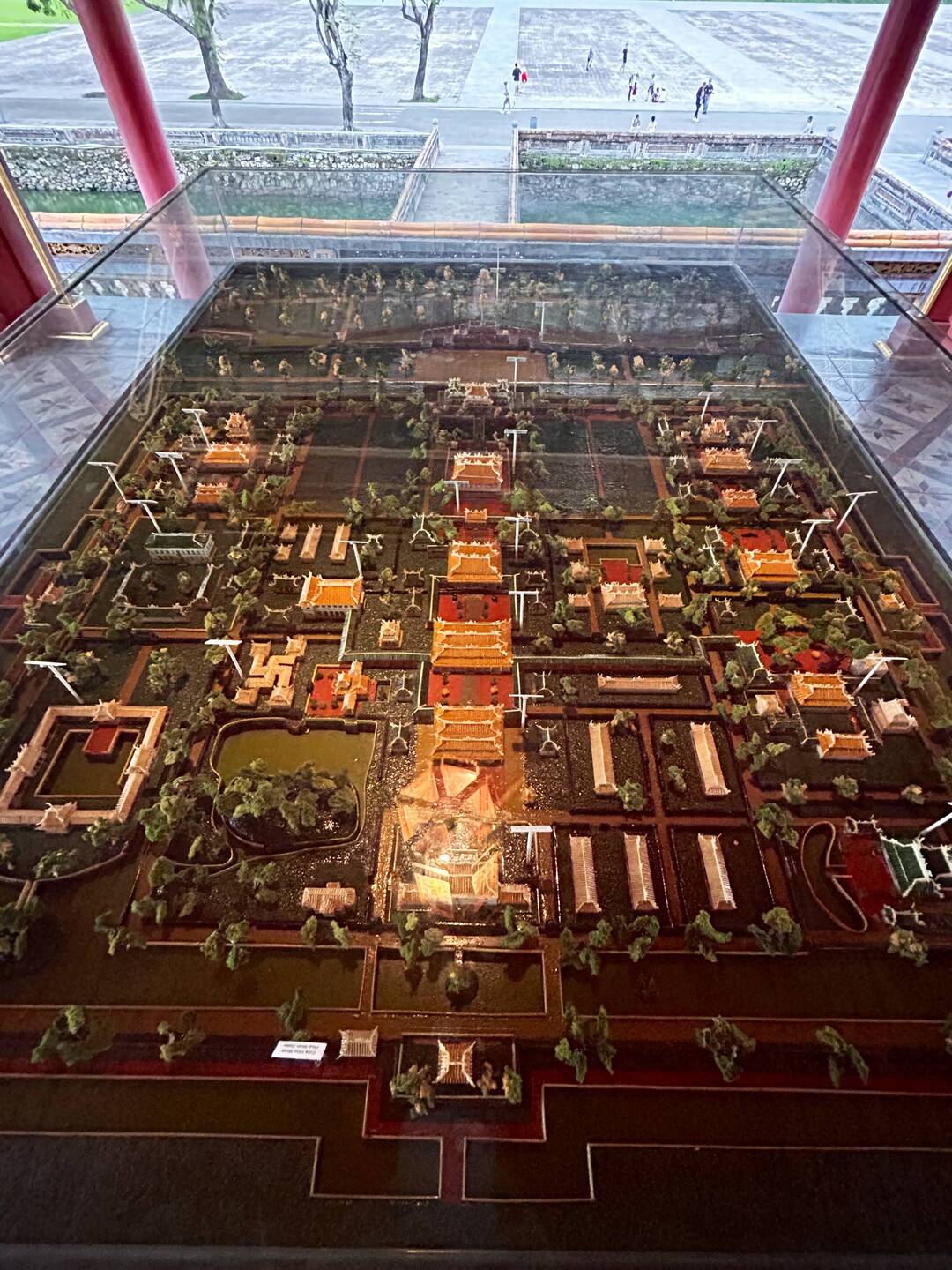 bird's view