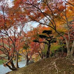 Prachtige herfstkleuren