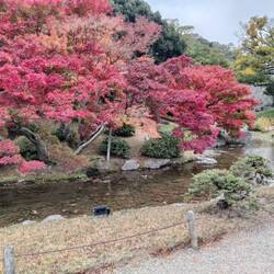 Dit is echt de kleur, niet bewerkt