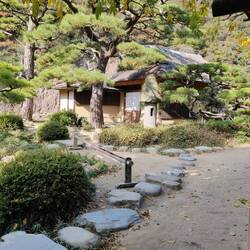 Mooie tuin voor zo'n theehuisje