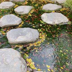 Over mos stromend beekje