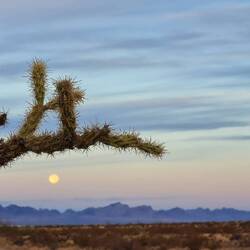 Südlich von Kingman in der Wüste