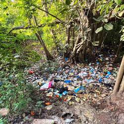 Und immer wieder dieser Müll