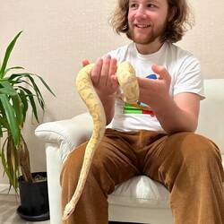 Schlange von einem Freund vom Comservatorium