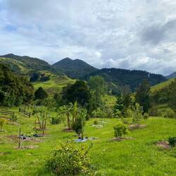 Letzter Blick aufs Krishna-Grundstück