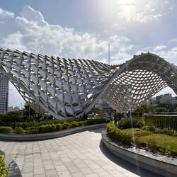 hier ist das Gürteltier