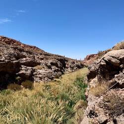 Die grüne Oase rund um ein Flüsschen, mitten in der Wüste