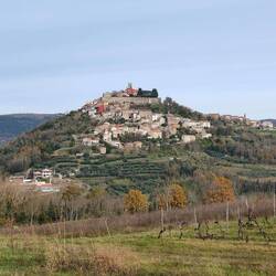 The view across the valley to Motovun