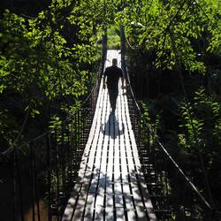 Paul crossing the bridge to Take A Walk Cafe.