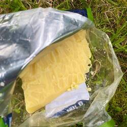 ...gefunden am nächsten Morgen mit diesen Nagespuren 10m vom Zelt entfernt 😲