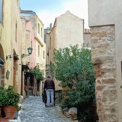 Holztransport mit Karre, sehr mühsam