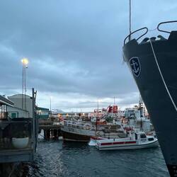 Am alten Hafen
