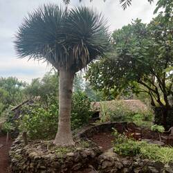 So sieht er von der anderen Seite aus