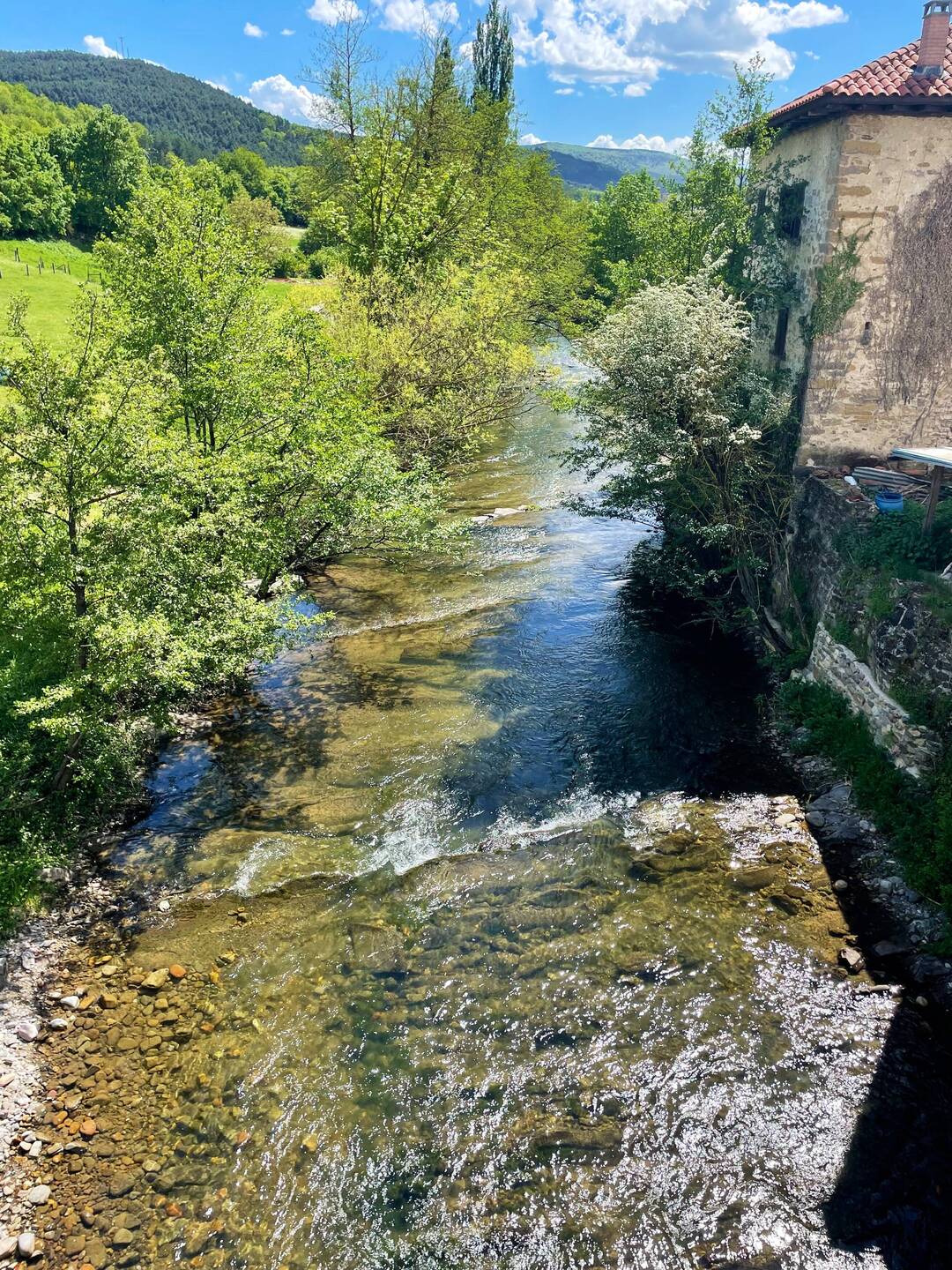 Río Arga