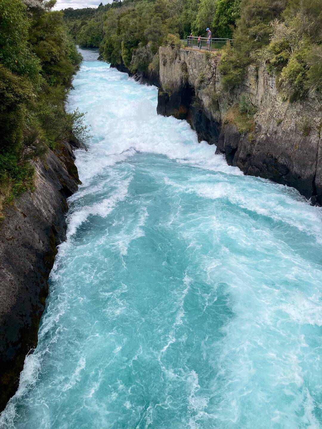 Waikato River out of Lake Taupo.