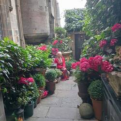 Gorgeous garden setting to relax in!