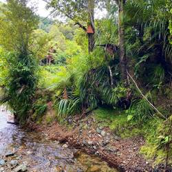 Irgendwo da oben geht's weiter...