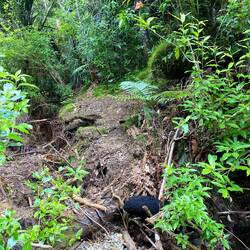 Der "schöne" Teil des Weges