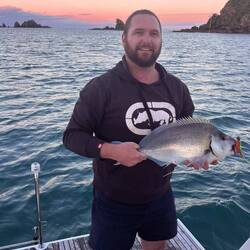 Porae on the rod as the sun was going down