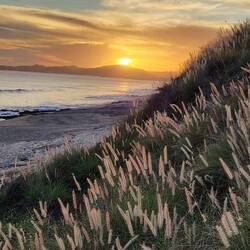 Sunset - Puerto Los Cabos