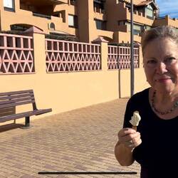 Langer Strandweg ....