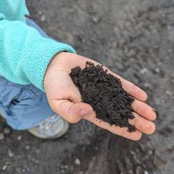 Lava asche auf knapp 1500 höhenmeter