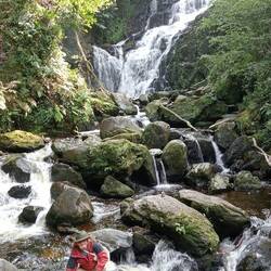 Went to Tork waterfalls in horse buggy together!
