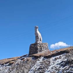 Central Asia is snow leopard country