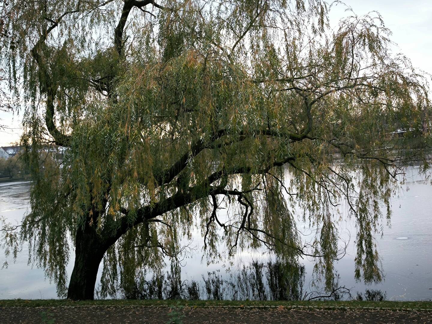 am Gotthardsteich