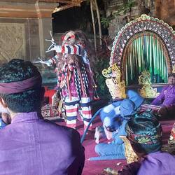 The ballet of Bimaniu