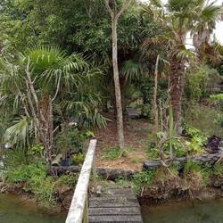 beautiful area around the pond