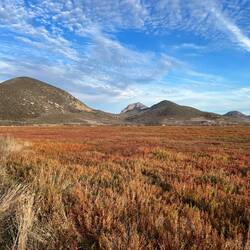 Morro Bay salt marsh where I spent the night
