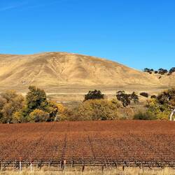 Central Valley: wine, vegetables and oil...