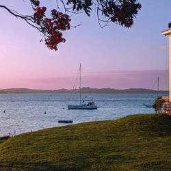 Starling on the mooring as the sun sets