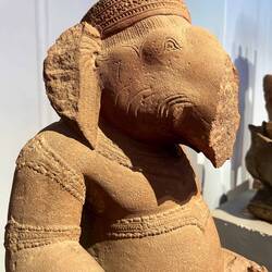 wenn Rüssel ab, dann rüssellos