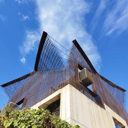 Wer entdeckt die Papageien?😉