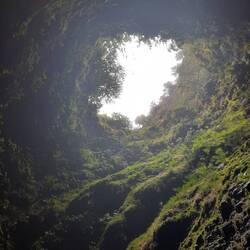 Immer wieder ein faszinierender Blick nach oben