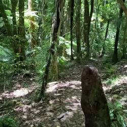 Besser als road walking