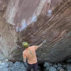 Best try on Meadowlark Lemon