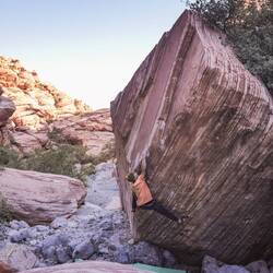 Meadowlark Lemon, V13