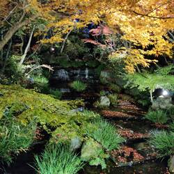 De watervallen onder verlichting